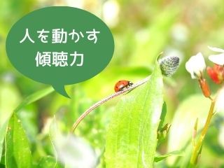 Read more about the article 傾聴力｜人を動かすにはとにかく相手の話を聴くこと！