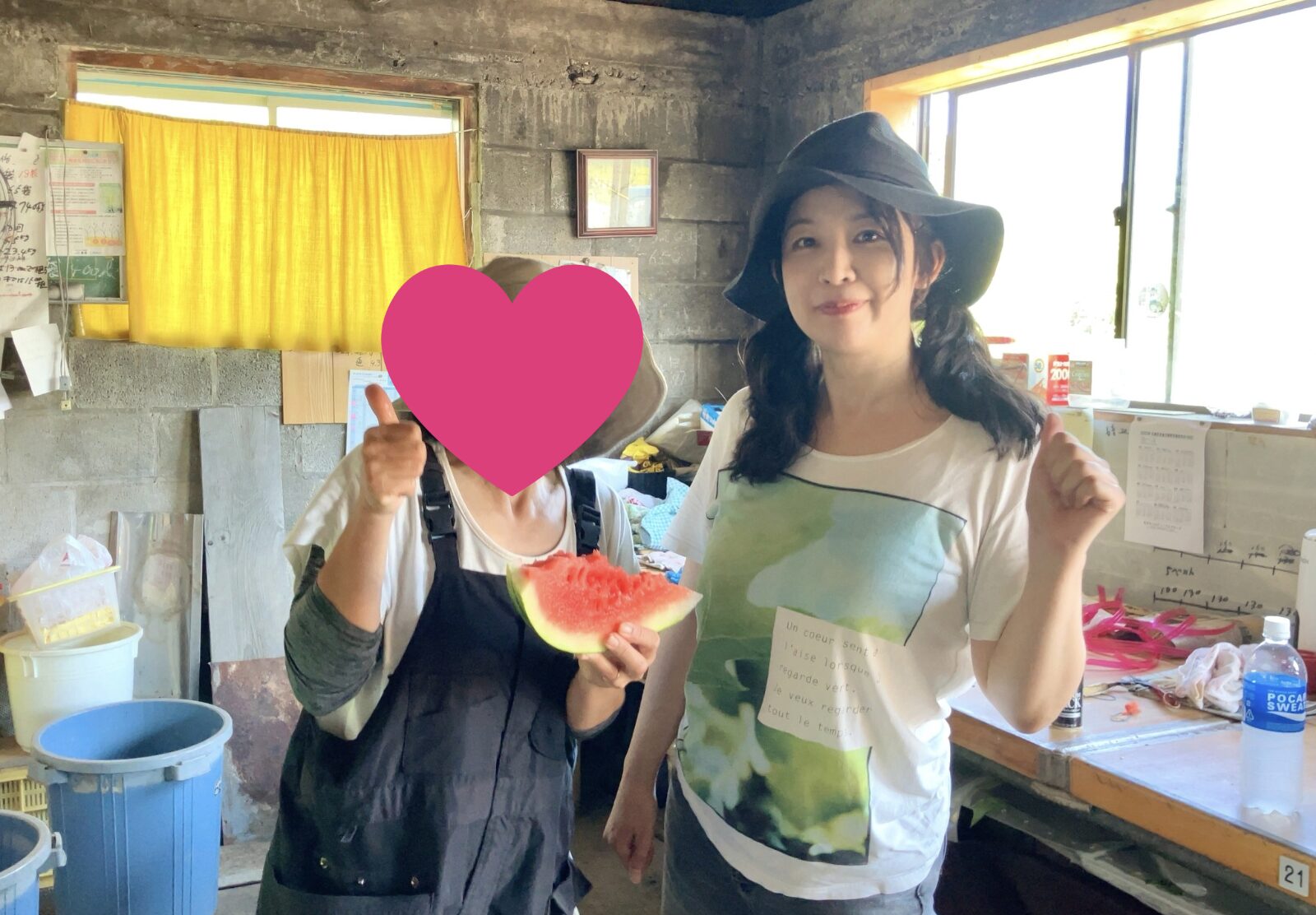 投稿についてもっと詳しく とうもろこしの収穫