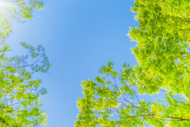 投稿についてもっと詳しく 心の傷を癒す３ステップ【前編】