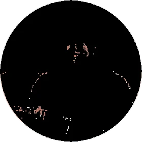 {{brizy_dc_image_alt imageSrc=